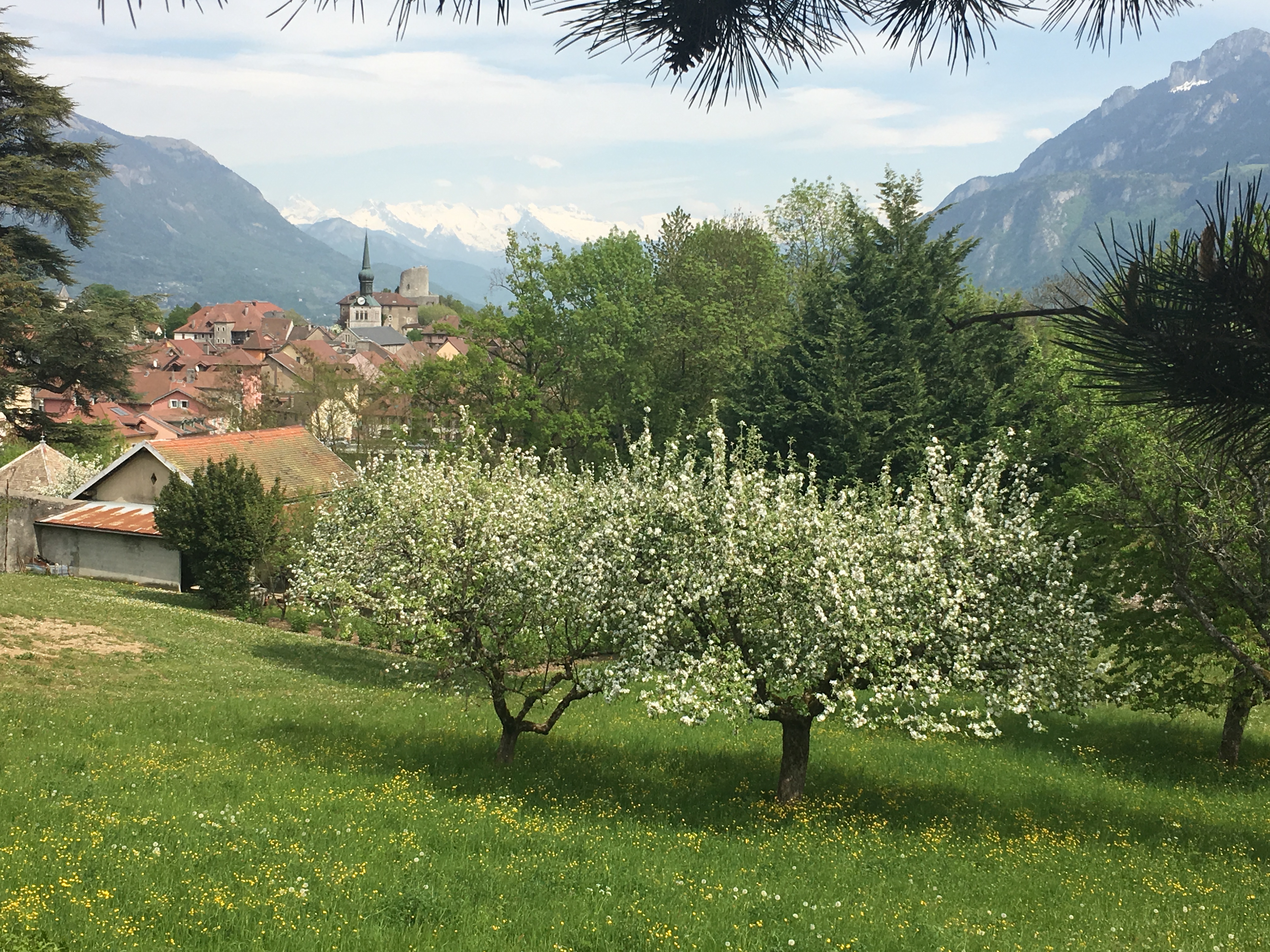 Zéro Artificialisation Nette (ZAN)
