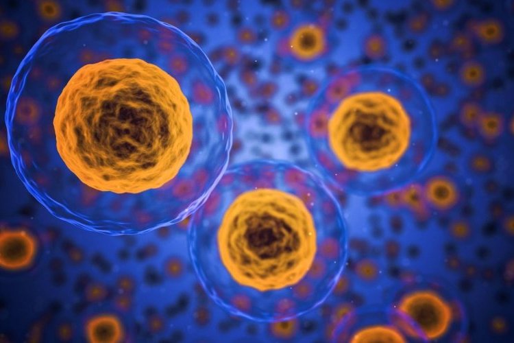 Projet de loi bioéthique
