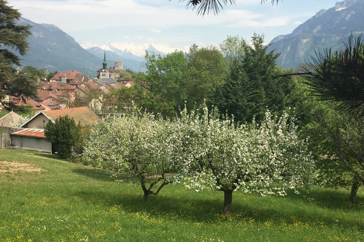 Zéro Artificialisation Nette (ZAN)
